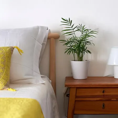 Bed and Breakfast Curu 4*